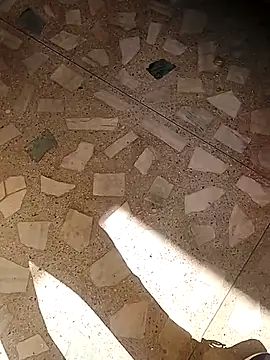 Raj41 online show from November 19, 2025, 4:34 am