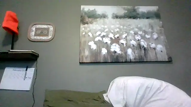 HarvryBlaze online show from February 16, 2026, 12:29 am