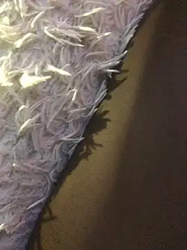 staroill online show from February 20, 2025, 11:42 am