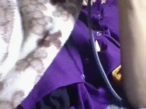 AKANSHA 7 online show from November 1, 2025, 4:53 pm