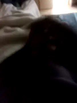 Sbu gold online show from January 12, 2026, 7:24 am