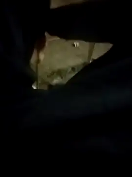 Snapshot of Playboy_bhabhi_00 chatting on February 13, 2025, 2:42 pm Playboy bhabhi 00 online show from February 13, 2025, 2:42 pm