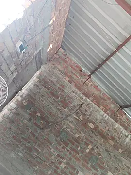 birds0641 online show from October 24, 2025, 7:49 am