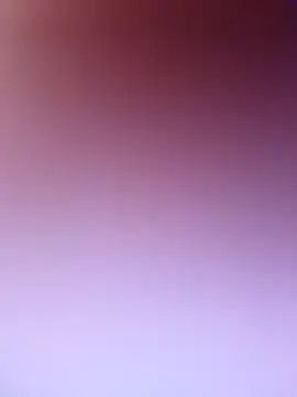 wadmma online show from February 19, 2026, 7:48 am