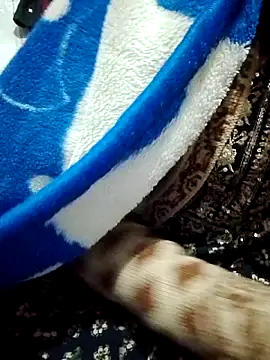 saaniya online show from January 5, 2026, 7:17 pm