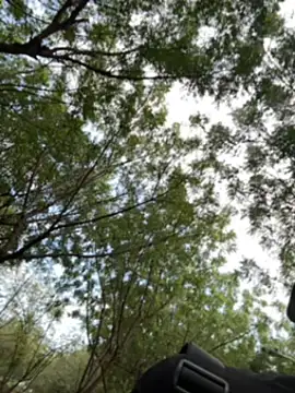 Snapshot of arevalo1124 chatting on December 2, 2025, 9:10 pm arevalo1124 online show from December 2, 2025, 9:10 pm