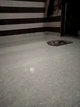 sdfuubjkn online show from April 28, 2026, 3:55 am