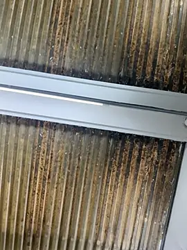 Nikki vega online show from January 10, 2026, 8:21 pm