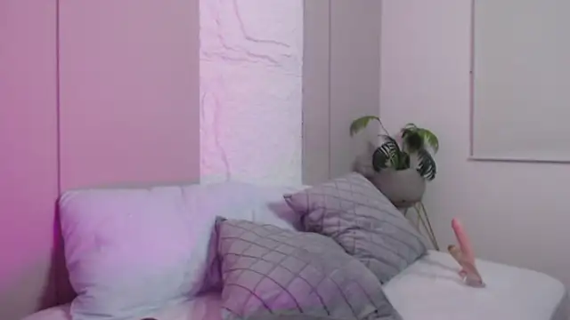 dalila harris online show from February 12, 2026, 12:55 pm