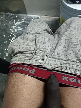 omni 333 online show from February 4, 2026, 1:17 pm