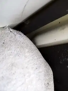 Snapshot of dominationmybigdick chatting on October 10, 2025, 10:36 am dominationmybigdick online show from October 10, 2025, 10:36 am