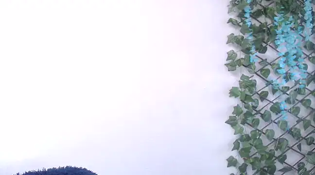 7 Saturno 7 online show from February 13, 2025, 12:43 pm