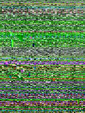 Walker Thomas1 online show from July 10, 2026, 10:34 pm