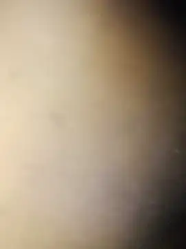 Crowlers online show from March 16, 2025, 12:01 am