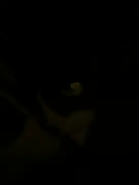 Snapshot of sark0606 chatting on February 6, 2025, 4:58 pm sark0606 online show from February 6, 2025, 4:58 pm