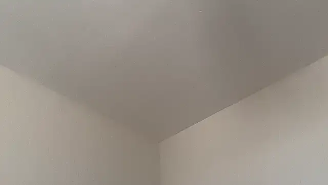 skyejde online show from February 14, 2026, 9:17 am