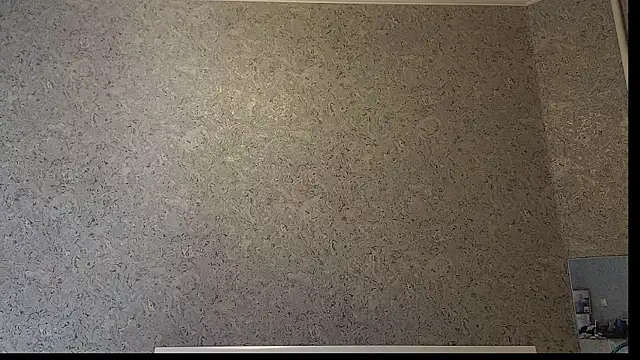 DemiDee online show from December 15, 2025, 8:24 pm