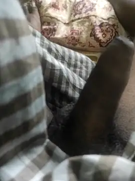 Tamil small cock online show from February 18, 2025, 6:37 am