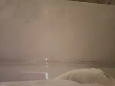 ShysluutGia online show from February 19, 2026, 12:56 pm