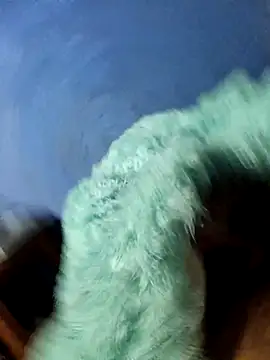 Caing23 online show from February 27, 2026, 3:17 am