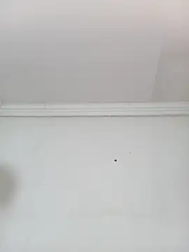 Snapshot of Kylie6lack chatting on October 1, 2025, 8:15 pm Kylie6lack online show from October 1, 2025, 8:15 pm