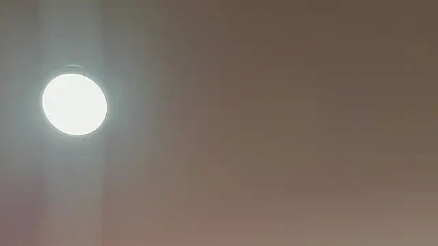 alice lodge online show from March 22, 2025, 3:09 am