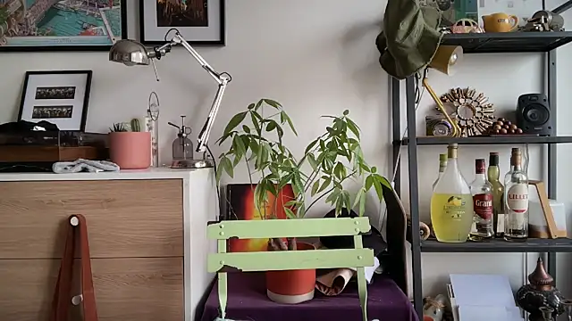 MikymikeBBWD online show from November 12, 2025, 11:43 am