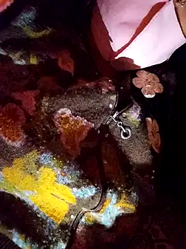 PPP 25 online show from November 14, 2025, 1:54 pm