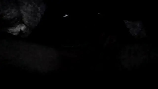 Snapshot of MaryundFling chatting on September 18, 2025, 3:52 am MaryundFling online show from September 18, 2025, 3:52 am