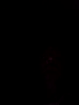 Nidge251 online show from March 7, 2026, 12:51 am