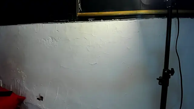 couple hotfox online show from December 22, 2025, 1:02 am