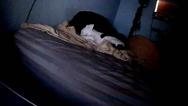 Snapshot of PornStro921 chatting on February 11, 2026, 8:25 pm PornStro921 online show from February 11, 2026, 8:25 pm