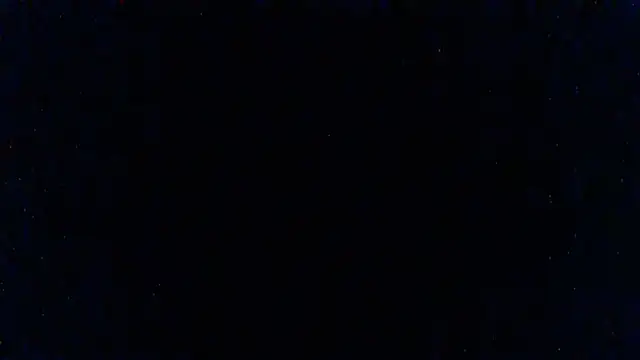 SillyRabbitz online show from March 3, 2025, 12:58 pm