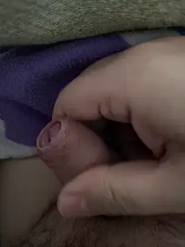 Snapshot of littletoy64 chatting on February 7, 2026, 8:07 am littletoy64 online show from February 7, 2026, 8:07 am