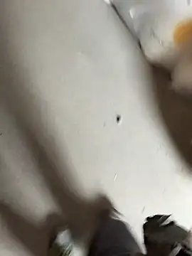 Mafiotul27 online show from October 23, 2025, 8:13 am