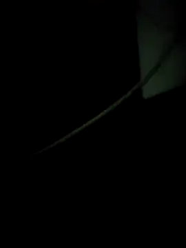 enoc369 online show from December 4, 2025, 8:12 am