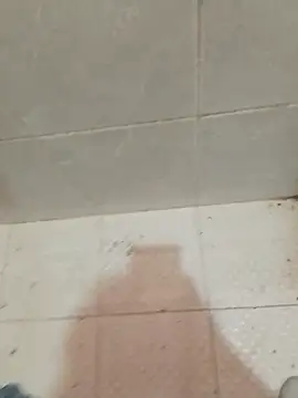 enoc369 online show from April 23, 2026, 5:04 pm