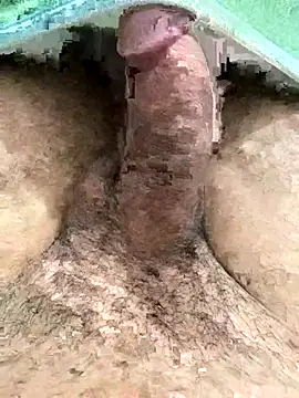 Snapshot of Iliase chatting on November 15, 2025, 9:17 am Iliase online show from November 15, 2025, 9:17 am