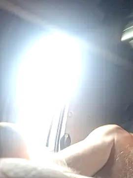 Snapshot of aleksis1313 chatting on March 29, 2026, 9:53 am aleksis1313 online show from March 29, 2026, 9:53 am