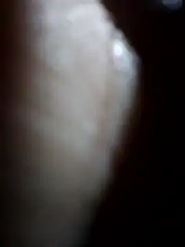 Snapshot of Sandra42 chatting on December 23, 2025, 9:18 am Sandra42 online show from December 23, 2025, 9:18 am