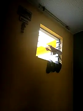 Ariana Rodriguez online show from October 6, 2025, 12:02 pm