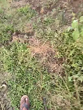 himvilohi08 online show from March 16, 2026, 1:15 pm