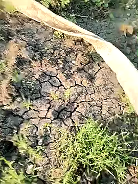 himvilohi08 online show from March 21, 2026, 12:32 pm