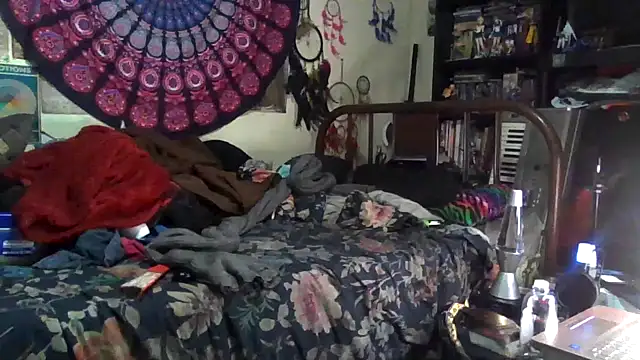 GardeniaFields online show from December 17, 2025, 4:51 am