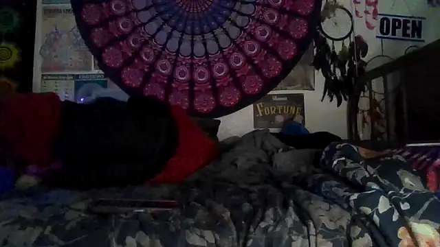 GardeniaFields online show from February 9, 2026, 8:40 am