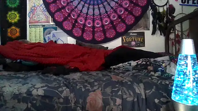 GardeniaFields online show from February 11, 2026, 4:50 am