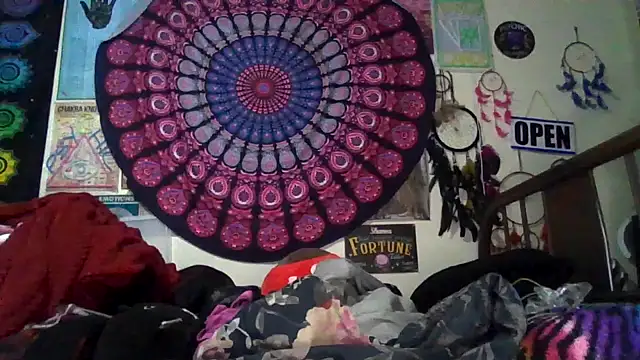 GardeniaFields online show from February 24, 2026, 8:56 am