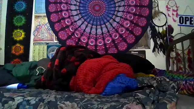 GardeniaFields online show from March 8, 2026, 9:57 am