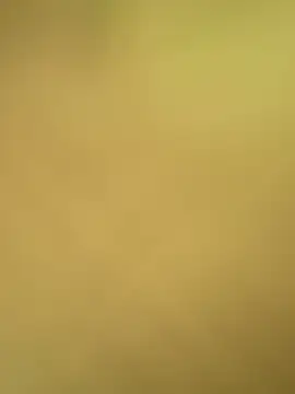 val zx online show from April 24, 2026, 1:57 pm