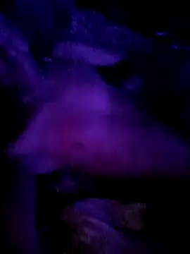 Tremendocosotee online show from November 19, 2025, 8:36 am